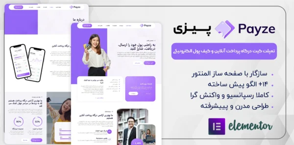 قالب سایت آماده پرداخت آنلاین و کیف پول Payze